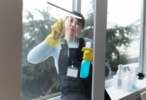 Nettoyage de vitres intérieures et extérieures à Monchecourt